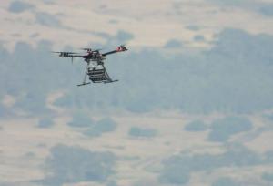 حملات هوایی اشغالگران به شهر غزه و تداوم نقض آتش‌بس