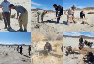 هم‌افزایی برای مهار ریزگردها در تالاب‌های طشک و بختگان فارس