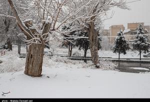 هواشناسی ایران۱۴۰۳/۱۱/۸؛بارش شدید برف و باران در ۱۰ استان