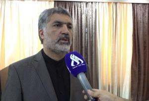 سرکنسول ایران: ۵۰۷ موکب شناسنامه‌دار ایرانی در نجف خدمت‌رسانی می‌کنند