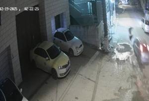 جنایت هولناک شهرک نشین صهیونیست در شرق نابلس+فیلم