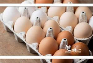 چرا مصرف این ماده غذایی ضروری است؟