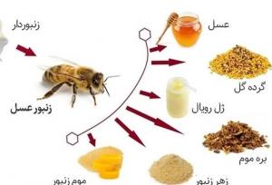 کمک به درمان ۷ بیماری‌ صعب‌العلاج با "عسل و مشتقات آن"