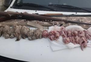 شکارچی غیرمجاز در کازرون دستگیر شد