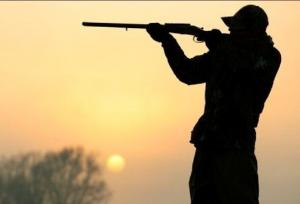 دستگیری شکارچی متخلف در حاجی‌آباد