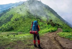 طبیعت درمانی نسخه پزشکان برای رهایی از درد