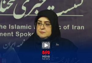 واکنش سخنگوی دولت درباره شایعات علیه رئیس جمهور