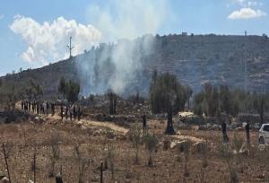 شهادت نوجوان فلسطینی به ضرب گلوله نظامیان صهیونیست