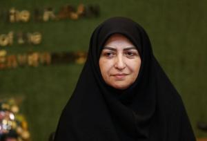 تشکیل صندوق منطقه‌ای برای حل مشکل ریزگردها