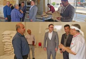 تاکید فرماندار تنگستان بر افزایش کیفیت پخت نان