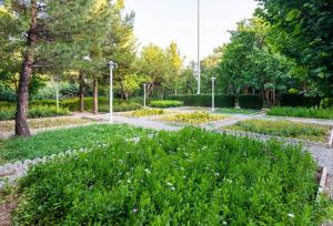 حفر ۱۰۰ چاه عمیق توسط آبفا در فضای سبز شهرداری تهران