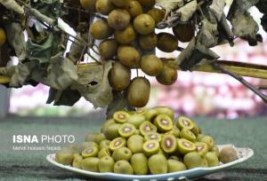 با مصرف «کیوی» خواب آرام‌تری داشته باشید