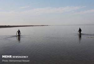 کنعانی: وضعیت تالاب میانکاله و خلیج گرگان نگران کننده است