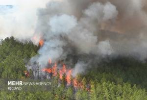 آتش‌سوزی گسترده در جنگل‌های چالوس و مرزن‌آباد