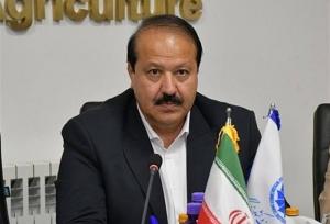 بخش خصوصی برای حفظ پایداری اقتصاد، در میدان حضور دارد