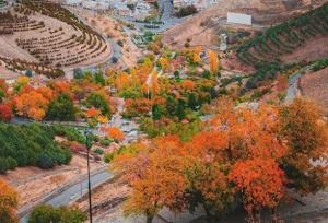 ۷ دمنوش پاییزی برای تقویت سیستم ایمنی و رفع خستگی