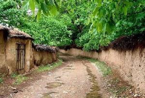 عضو شورای شهر: جلوگیری از ساخت‌وسازهای غیرمجاز در باغ‌های قصردشت شیراز سرعت می‌گیرد