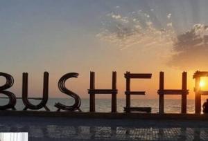 خوشبخت: برنامه‌های هفته نکوداشت بوشهر جامع‌تر طراحی و اجرا می‌شود