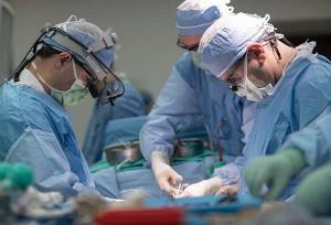 نجات عضو حیاتی بیمار در شرایط بحرانی توسط جراح عمومی در قشم