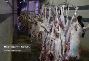 حدود ۵۰۰ هزار دلار مطالبه واردکنندگان گوشت از دولت است