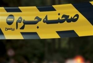 جزئیات قتل سروش ستوده با ۳ ضربه چاقو در خیابان ولنجک