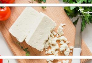 پنیر با شیر الاغ مجوز سازمان غذا و دارو را ندارد