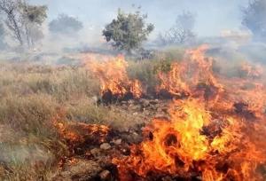 آتش در مراتع روستای گریوان شعله‌ور شد