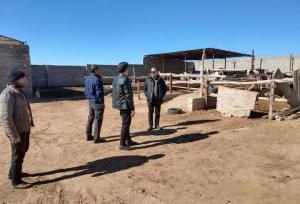 زمین‌های مجتمع گاوشیری شهر نیر فاقد پیشرفت، خلع‌ید و آزادسازی می‌شود