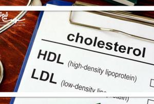 ۵ غذای زمستانی و دشمن کلسترول بد (LDL)