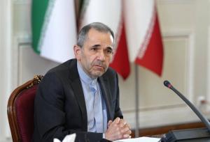 تخت روانچی: بهترین راه برای فهم تاریخ کتابخوانی است