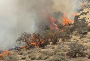 سفیدکوه خرم‌آباد و پارک ملی بمو پایلوت اطفاء حریق زاگرس شدند