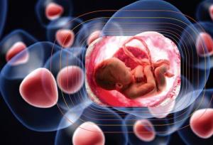 اهمیت ذخیره‌سازی خون بندناف در آینده فرزندان