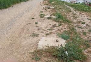 مدیرپایگاه ملی تاق بستان: تاکنون هیچ طرح جامع گردشگری برای شکارگاه خسروپرویز ارائه نشده است