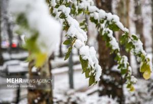 بارش برف و کاهش شدید دما از یکشنبه تا سه‌شنبه در البرز