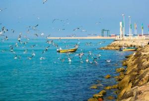 تداوم شرایط ناپایدار دریایی در خلیج فارس و دریای عمان