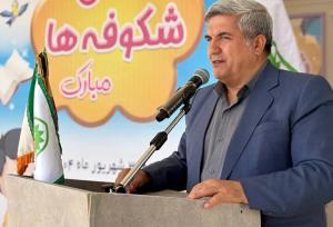 نسل امروز برای حفظ دستاوردهای دفاع مقدس قدم بردارند
