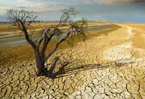 وقتی مافیا تعیین می‌کند کدام شهر تشنه بماند!