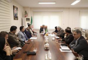 فرهنگ‌سازی‌ مهم‌ترین گام در تحقق سیاست‌های جوانی جمعیت است