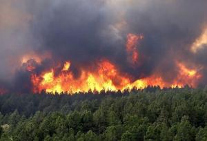 قصه پر غصه «الیت» و آتشی که بر جان هیرکانی افتاد