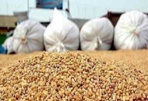 معاون استاندار: توزیع نهاده‌های دامی در فارس شتاب می‌گیرد/ تامین ۱۳ هزار تن ذرت