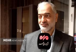 زارعی: قانون جدید شوراها حقوق همه جریان‌ها را در انتخابات تضمین می‌کند