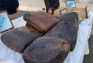 یک تن مواد مخدر ۱۰ روز گذشته در آذربایجان غربی کشف شد