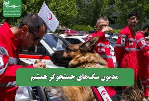 مدیون سگ‌های جستجوگر هستیم