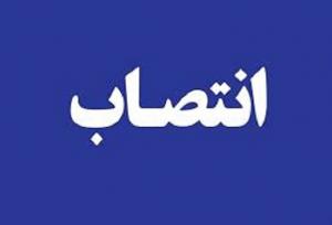 مدیرکل حقوقی وزارت کشور منصوب شد