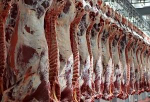 احداث مگافارم‌ها راهکار خوداتکایی یزد در تولید گوشت قرمز است