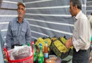 طالب نیا: جشنواره انگور یاسوکند به تقویم ملی گردشگری کشور اضافه شد
