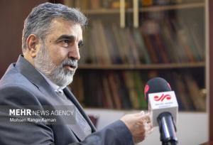 ابتدا سال ۵۳ آمریکایی‌ها توسعه نیروگاه‌های اتمی ایران را مطرح کردند
