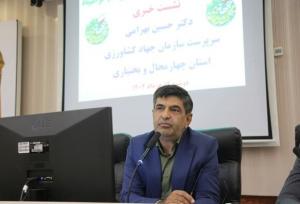 بسته‌بندی و بازاریابی نیاز مهم برای ورود بادام به چرخه صادرات