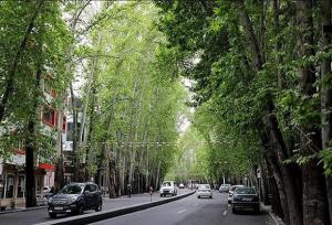 آغاز بهسازی میدان تجریش تهران با حفظ ۲۴۰۰ اصل درخت