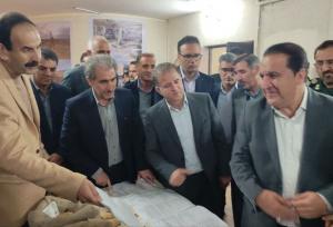 توانمندی تولید بذر (غده) مینی‌تیوبر سیب‌زمینی در ایلام